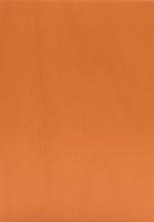 Sperrholz Sbox Color TransColor europäische Birke orange S/BB lackiert