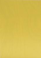 Sperrholz Sbox Color TransColor Birke europäisch gelb A/A lackiert