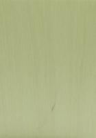Sperrholz Sbox Color TransColor Birke europäisch hellgrün A/A lackiert