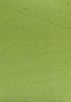 Sperrholz Sbox Color TransColor Birke europäisch mittelgrün A/A lackiert