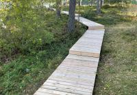 Terrassenbelag Kiefer schwedisch Nowa Holz Organowood