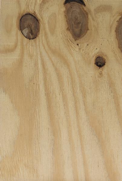 Sperrholz südamerikanische Elliotis Pine (Kiefer) C+/C